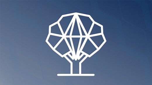 The Plum Tree App: Important Information Regarding Closure