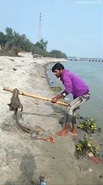 What did we find buried in the sand on the banks of the Ganges? 😱#trending #viralvideo