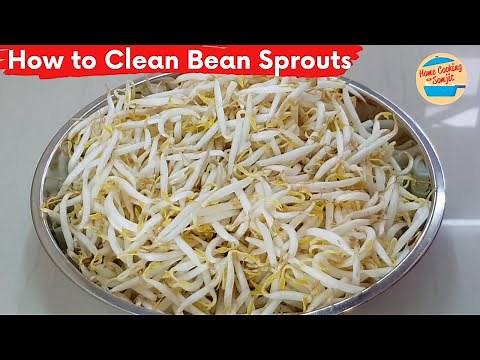 How to Clean Mung Bean Sprouts | How to Clean Taugeh