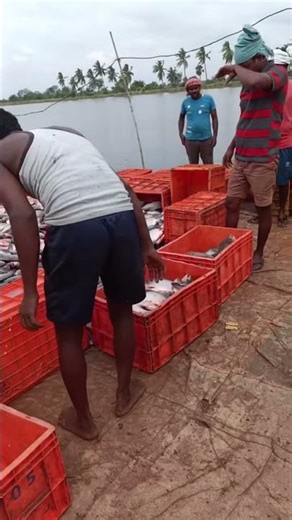 Why do fishermen use an excavator?