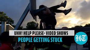 Video showing people and animals getting stuck is a laugh riot