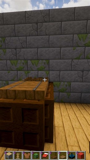 Minecraft Jumpscare Coffin💀