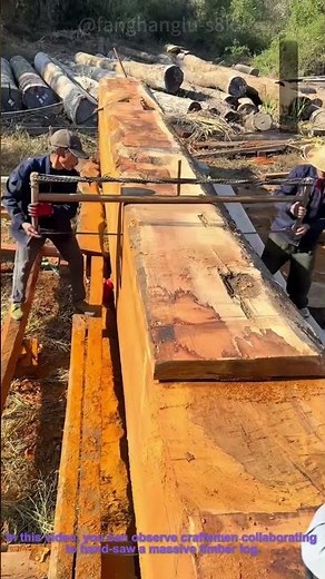 Traditional Hand Sawing: Craftsmen Cutting Huge Timber Logs – How Does It Work?