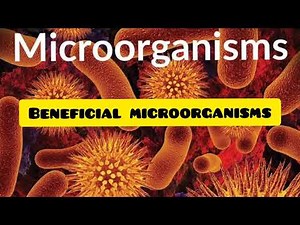 Beneficial Microorganisms