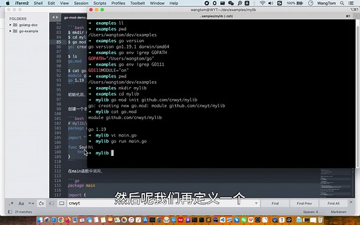 Go语言go mod 依赖管理使用介绍
