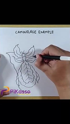How to Draw Animal Camouflage Examples in Less Than One Minutes