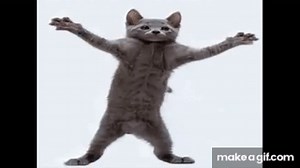 DANCING CAT MEME 1H on Make a GIF