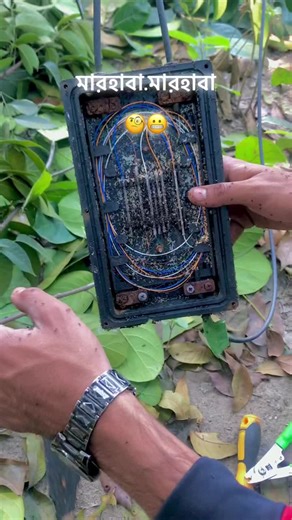 ভুল করে পিপড়ার রাজ্য চলে গেছি🐸😳 #foryou #isp_internet #viralpost #tiktokbangladesh #tiktokindonesia @For You @TikTok @𝙏𝘼𝙉𝙅𝙄𝙇