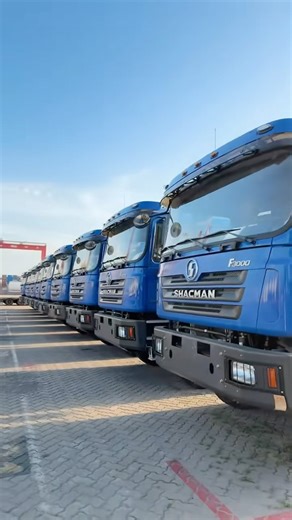 30 rear dump trucks + 30 tractors customized by African customers have been sent to the port.