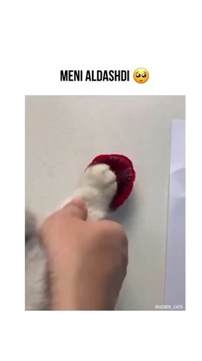 Muratbek.8007 on Instagram: "#❗ In 1981, Diego Maradona and Pelé shared an unforgettable moment during a television show. The two football legends amazed fans with their unique styles and extraordinary skills in a lighthearted and entertaining performance. Maradona, known for his playful nature, invited Pelé to join him in showcasing their technique by performing a header exchange with a football. This simple yet iconic display reflected their mutual respect and passion for the game. This moment