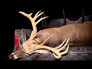 Big Bucks With Bows in MS Delta Early Season