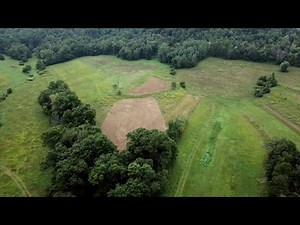 2018 Best Food Plot Blend