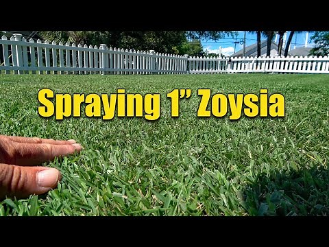 Spraying Lawn Liquid Fertilizers and Supplements