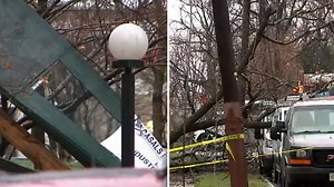 Whipping winds halt traffic, bring down trees & scaffolding in Tri-State