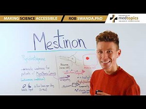 How does Mestinon (Pyridostigmine) Work for Myasthenia Gravis?