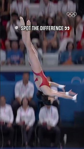 Diving perfection. 🤩