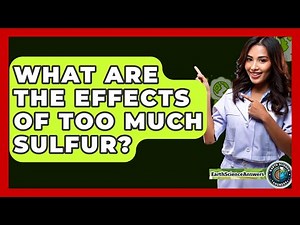 What Are The Effects Of Too Much Sulfur? - Earth Science Answers