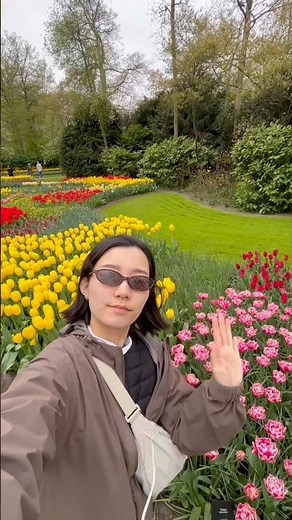 [🇳🇱オランダ旅行]🌷あの有名なチューリップ畑行ってみた！ #イギリス在住 #オランダ旅行 #ロンドン在住 #海外生活 #海外在住 #keukenhof