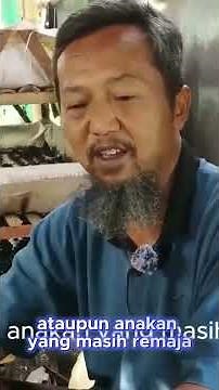 Motivation & Bright Prospects for Worm Farming in the Future | Small Capital, Big Profit Business!