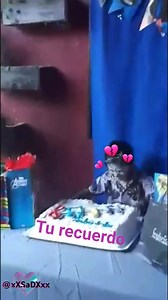 628K views · 2.4K reactions |  | SAD | Facebook