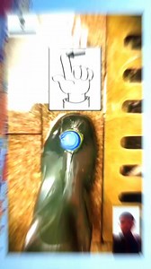 1M views · 13K reactions | Hechos Curiosos que no sabias . .. . . #hechoscuriosos #hechos #datos #curiosidades #datoscuriosos | Hechocurioses | Facebook