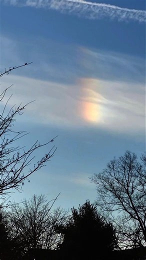 NOT JUST A SUN DOG🌞🐕😂