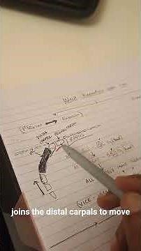 Wrist Joint Kinematics - Flexion to Extension movement #wristbiomechanics #physioeducation #physio