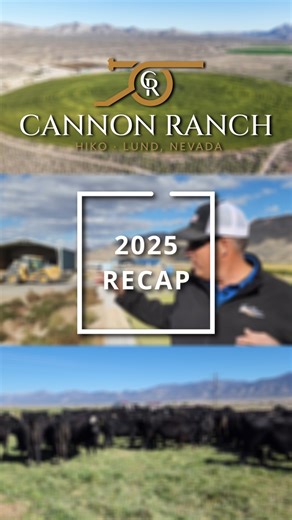 Happy New Year! Wishing you a bright and successful 2026 from all of us at Cannon Ranch. | Cannon Ranch