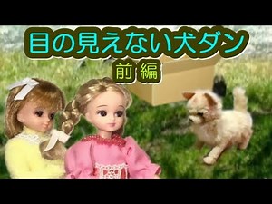 【ほぼ10分シアター】目の見えない犬ダン 前編