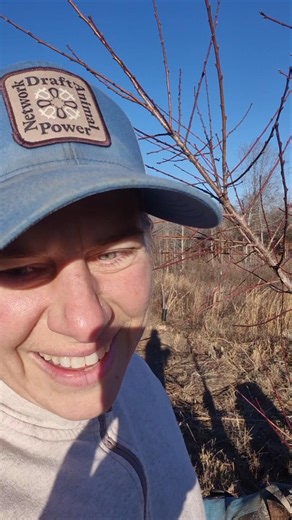 🍑 ✂️ Prune The Peach Tree