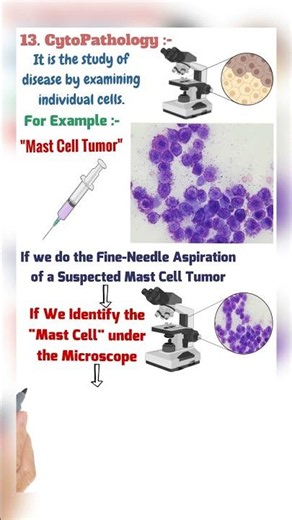 Pathophysiology & Cytopathology Explained | Branches of Pathology