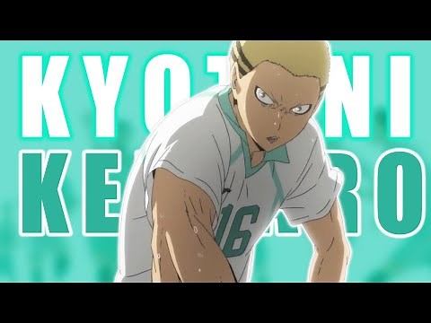 Mad Dog: A Team's Worth (Haikyuu!)
