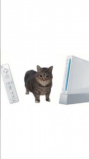 OIIAOIIA CAT Nintendo Wii - Mii Channel Theme