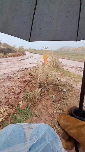 13 reactions · 6 comments | That time I was a road lockup PA on @horizonamericansaga | Shane Morrisun | Facebook