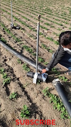 14K views · 26 reactions | Portable Sprinkler system #portable #portablesprinkler #sprinkler #sprinklersystem #microirrigation #irrigation #sprinkling #fuvara #fogging #raingun #raingunsystem #fogger #foggermachine | Micro Irrigation | Facebook