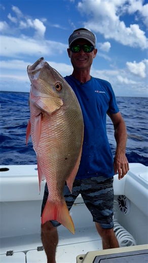 Big mutton snapper caught in Key West with @fishingwithluiza and @fishing_freeman_key_west @flogrown @grizzlycoolers @starrods @grizzlycoolers #fishing #snapper #muttonsnapper #livinthedream #saltwaterfishing #offshorefishing #keywest #keywestfishing #flkeys #floridakeysfishing #pargo #drytortugas #flogrown #bigfish #floridafishing #fishingflorida #keywestlife #fishinglife #fishingwithluiza #captjimmynelson | Capt. Jimmy Nelson