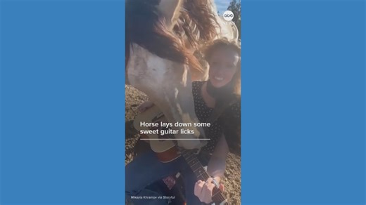 Horse lays down some sweet guitar licks