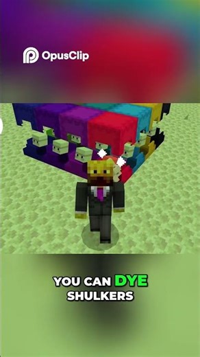 Minecraft Bedrock vs Java Shulkers, Villagers & More!