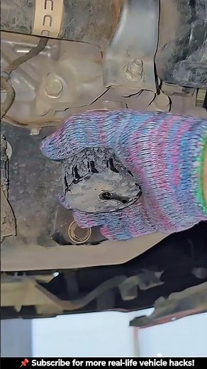 Oil Filter Changing Guide | Easy Step-by-Step Tutorial for Beginners 🔧