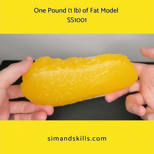 One Pound (1 lb) of Fat Model - Sim & Skills
