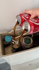 1.7M views · 1.7K reactions | When they flushed it 勞 | Best Videos | Facebook