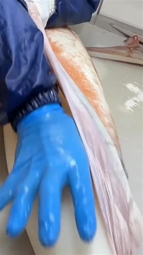 Satisfying Tools in Action: A Visual Journey