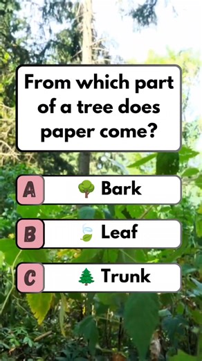 83K views · 6.8K reactions | 蝹 Wood Source: Origin of Paper from Trees! #quiz #fun #training #vrial #brainteaser #puzzle | Think Fast | Facebook