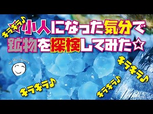 採集した鉱物たちを観察してみよう！ 電子顕微鏡で小さな世界を探検