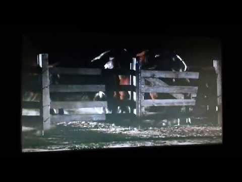 The Night of the Lepus- Giant Rabbits attack horse