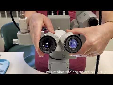 Virtual Basic Microsurgery Training Course - Introduction