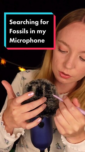 Searching for Fossils in my Microphone