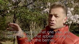 We've got an EXCLUSIVE sneak preview of our special one-off Springwatch for you! Join Chris as he gets to know the local Japanese wildlife. Springwatch in Japan: Cherry Blossom Time, Friday 21st April, 8.30pm, BBC Two | BBC Springwatch