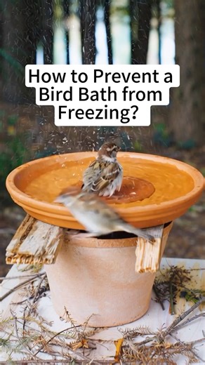 Got a freezing birdbath? Try this to DIY a bird bath heater easily at home #birdbath #diy #birds