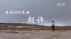 跨越半个世纪的生命迁徙——西藏极高海拔生态搬迁破解人与自然共生难题-新华网